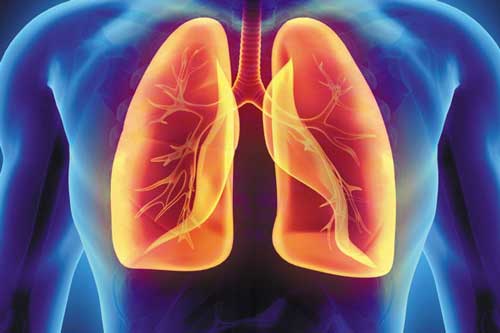 Ăn 5 loại thực phẩm này mỗi ngày: Phổi "sạch bong" cặn bẩn, tế bào ung thư cũng phải "tránh xa"