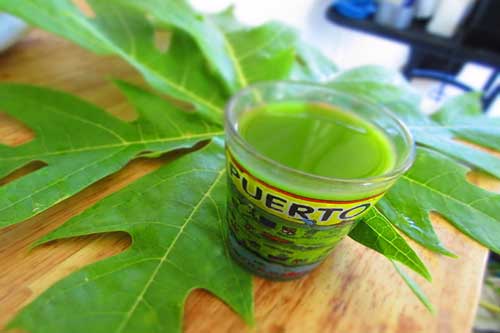 Đây chính là "thần dược" cho sức khỏe mà ai cũng đang thờ ơ và vứt bỏ