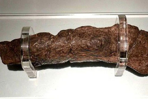 Những cục phân đắt giá nhất thế giới, viên 80kg trị giá 3 triệu USD