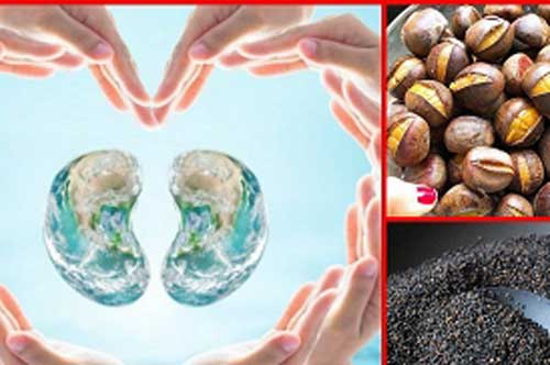 6 loại thực phẩm mà thận "thích mê", càng ăn càng bổ, người muốn thận khỏe không nên bỏ qua