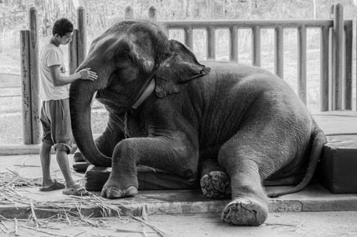 Những bức ảnh tuyệt diệu về lòng tin trong liên hoan ảnh Helsinkin