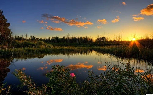 Vườn quốc gia Everglades.