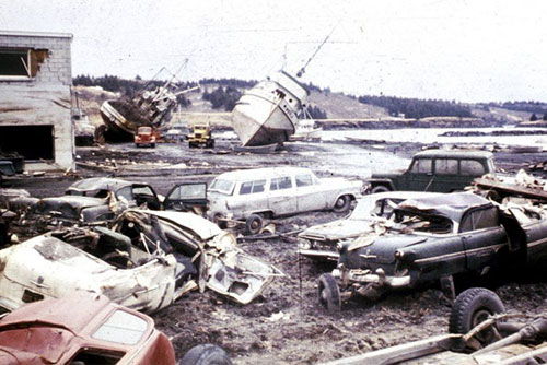 Sóng thần làm lây lan loài nấm gây chết người