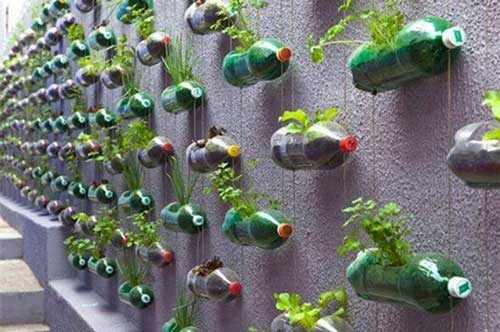 Hướng dẫn cách trồng rau bằng chai nhựa dễ dàng mà không tốn công chăm sóc