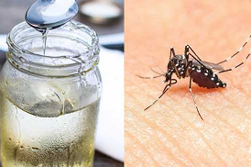 Để chai nước đường ở trong nhà theo cách này, muổi chẳng bao giờ dám bén mảng