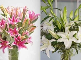 Mẹo xử lý hoa nở sớm "cực đỉnh", chơi cả tuần không thối, không hỏng, thơm ngát khắp nhà