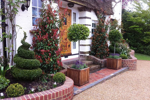 10 vị trí trong nhà nên bố trí cây cảnh để có thêm tài lộc