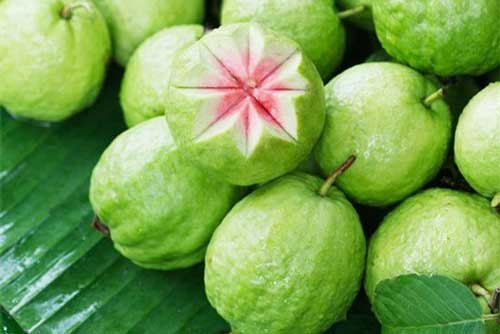 Ăn ổi theo cách này vừa ngừa được ung thư lại cả đời chẳng mắc bệnh tim mạch giúp bạn trẻ mãi chẳng già