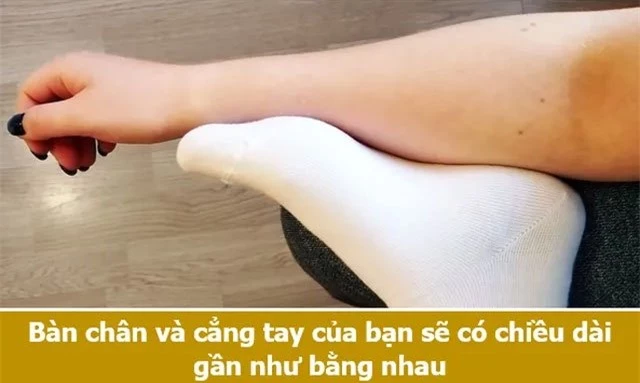 Bàn chân và cẳng tay