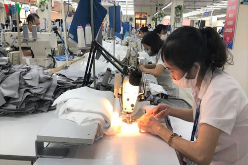 Phải cải cách triệt để mới tận dụng được các cơ hội từ EVFTA