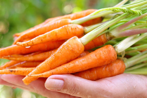 Những thực phẩm được mệnh danh là 'thần dược' của dạ dày, ăn vào vừa tiêu diệt vi khuẩn xấu lại tốt cho sức khỏe