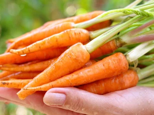 Những thực phẩm được mệnh danh là 'thần dược' của dạ dày, ăn vào vừa tiêu diệt vi khuẩn xấu lại tốt cho sức khỏe