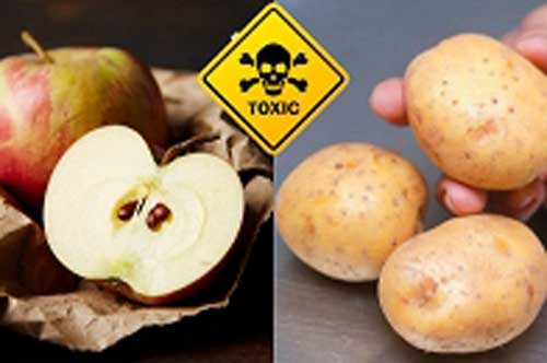 Mỹ công bố 12 loại rau củ quả nhiều thuốc trừ sâu nhất năm 2020, đều là thực phẩm được nhà nhà yêu thích