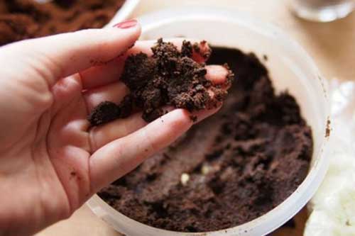 Cách khử mùi tủ lạnh bằng những nguyên liệu sẵn có trong bếp