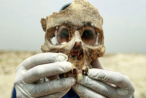 Hài cốt con người vẫn di chuyển trong hơn một năm sau khi chết