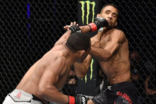 Francisco Trinaldo ra đòn hạ knock-out Jai Herbert.