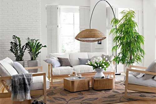 Những vị trí đặt cây xanh trong nhà có thể 'tăng vận khí, hút tiền tài, lên như diều gặp gió'