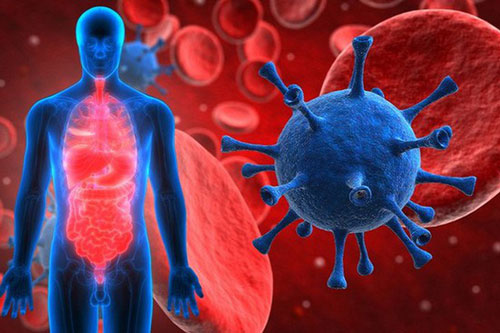 COVID-19 tác động tới cơ thể như thế nào?