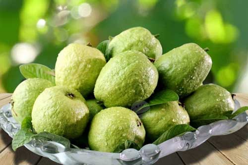 4 điều đại kị khi ăn ổi ai cũng phải biết nếu không muốn "tiền mất tật mang"