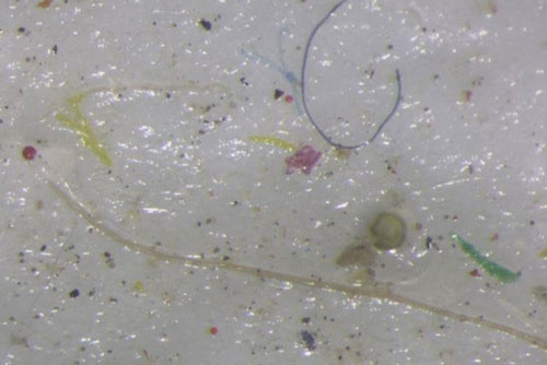 Phát hiện sốc trong lõi băng ở Bắc Cực - vùng nước xa xôi nhất