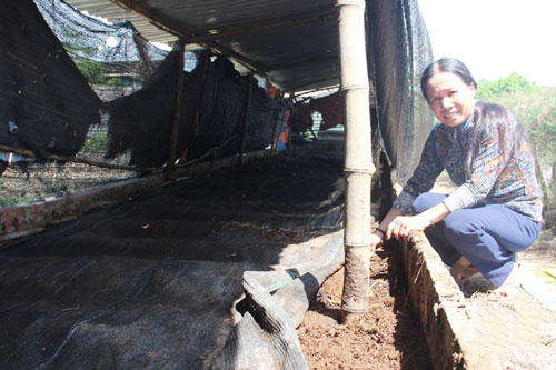 Hà Tĩnh: Nuôi giun quế thoát nghèo