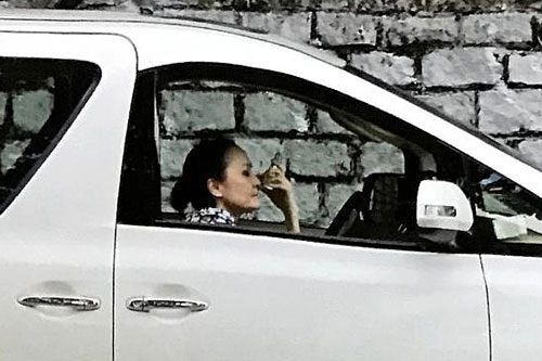 Mẹ Trương Bá Chi lái taxi kiếm tiền