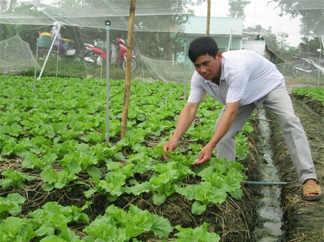 TP.HCM: Hỗ trợ khu vực kinh tế hợp tác xã bị ảnh hưởng bởi Covid-19