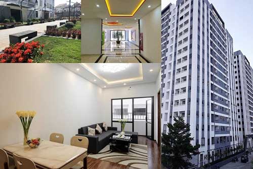 Chọn mua chung cư nhớ nguyên tắc "quý như kim cương" này: Gia chủ càng sống lâu càng dễ giàu có