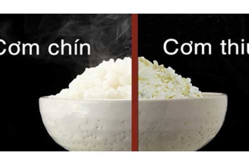 Bí kíp bảo quản và hâm cơm nguội vừa ngon vừa đảm bảo an toàn, bà nội trợ nào cũng cần biết