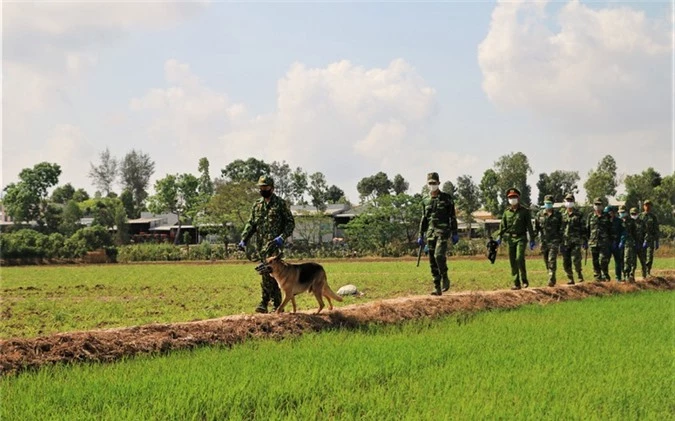 an giang: ngan chan hang tram doi tuong xuat, nhap canh trai phep hinh 1