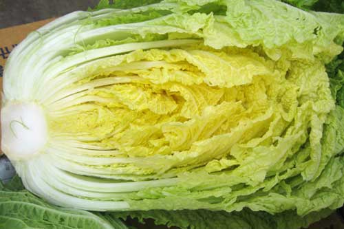 Mẹo chọn rau cải thảo giòn, ngon, không hóa chất