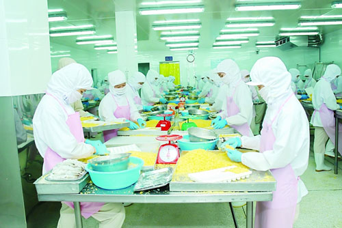 Doanh nghiệp cá tra kỳ vọng tăng trưởng những tháng cuối năm