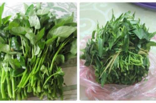 Cách nhận biết nhanh rau muống ‘tắm’ hóa chất