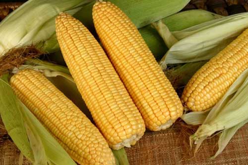 8 món ăn ít calo giúp chị em ăn no mà không sợ béo