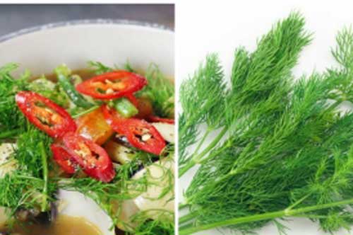 4 tác dụng của rau thì là, ai không biết "phí hoài thanh xuân"