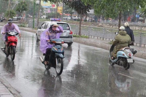 Ảnh minh họa.