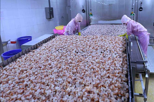 EVFTA giúp phục hồi kinh tế và tạo việc làm cho châu Âu