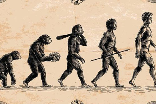 Loài người ngày nay có đang tiếp tục tiến hóa?