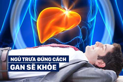 Ngủ trưa đúng cách giúp gan khoẻ mạnh, rất nhiều người vẫn mắc sai lầm mà không hề biết