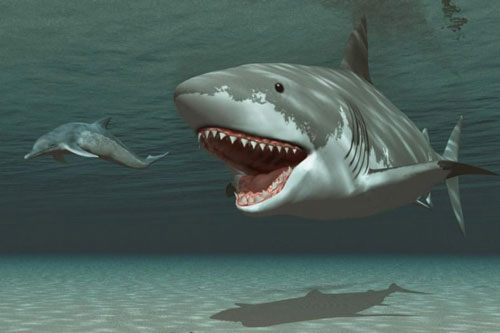 Top 10 quái vật ăn thịt kinh hoàng nhất từng tồn tại trên Trái Đất