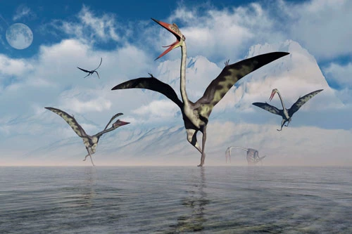 Hình ảnh phục chế của Quetzalcoatlus.