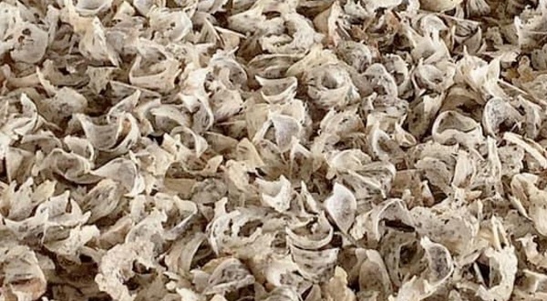 Y&#x1EBF;n ngo&#x1EA1;i k&#xE9;m ch&#x1EA5;t l&#x1B0;&#x1EE3;ng &#x201C;&#x111;&#x1ED9;i l&#x1ED1;t&#x201D; h&#xE0;ng Vi&#x1EC7;t tu&#x1ED3;n v&#xE0;o th&#x1ECB; tr&#x1B0;&#x1EDD;ng, k&#xE9;o gi&#xE1; y&#x1EBF;n s&#xE0;o Vi&#x1EC7;t Nam r&#x1EDB;t th&#xEA; th&#x1EA3;m