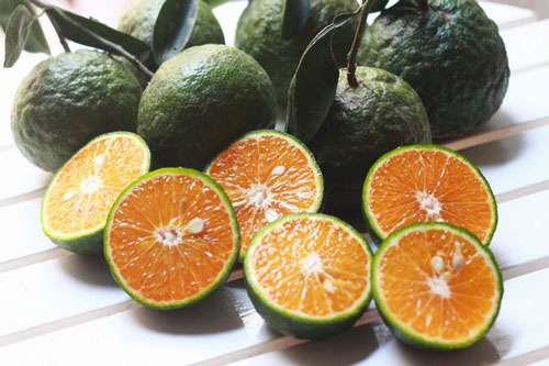 Chỉ cần thêm chút gia vị này vào nước cam, cơ thể đang ốm, mệt liền khỏe lại