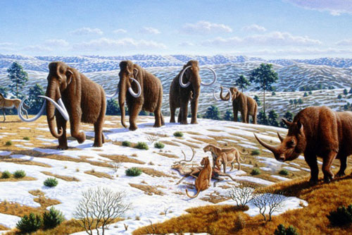 Những điều thú vị đáng kinh ngạc không phải trường lớp nào cũng dạy bạn