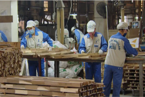 Tháo gỡ khó khăn cho doanh nghiệp xuất khẩu gỗ