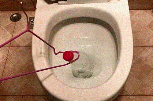 Lấy chai nhựa vứt xuống bồn cầu, 10 phút sau vợ hớt hải gọi chồng ra xem điều đặc biệt