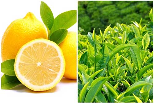 14 c&#x1EB7;p &#x111;&#xF4;i th&#x1EF1;c ph&#x1EA9;m t&#x1ED1;t cho s&#x1EE9;c kh&#x1ECF;e khi &#x103;n c&#xF9;ng nhau