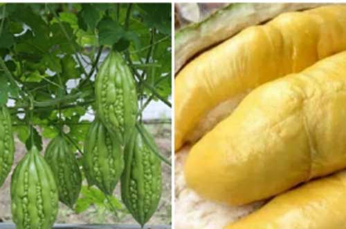 Những loại thực phẩm thiên nhiên có thể giúp kéo dài tuổi thọ và phòng chống ung thư hiệu quả