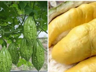 Những loại thực phẩm thiên nhiên có thể giúp kéo dài tuổi thọ và phòng chống ung thư hiệu quả