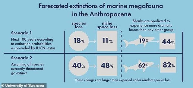 Chúng ta có thể mất tới 18% số loài, còn nếu tất cả các loài nguy cấp hiện nay bị tuyệt chủng thì con số sẽ là 40%